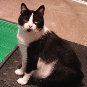 Meet your Posher, Lucy